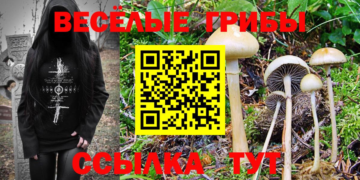 Псилоцибиновые грибы GOLDEN TEACHER Карталы
